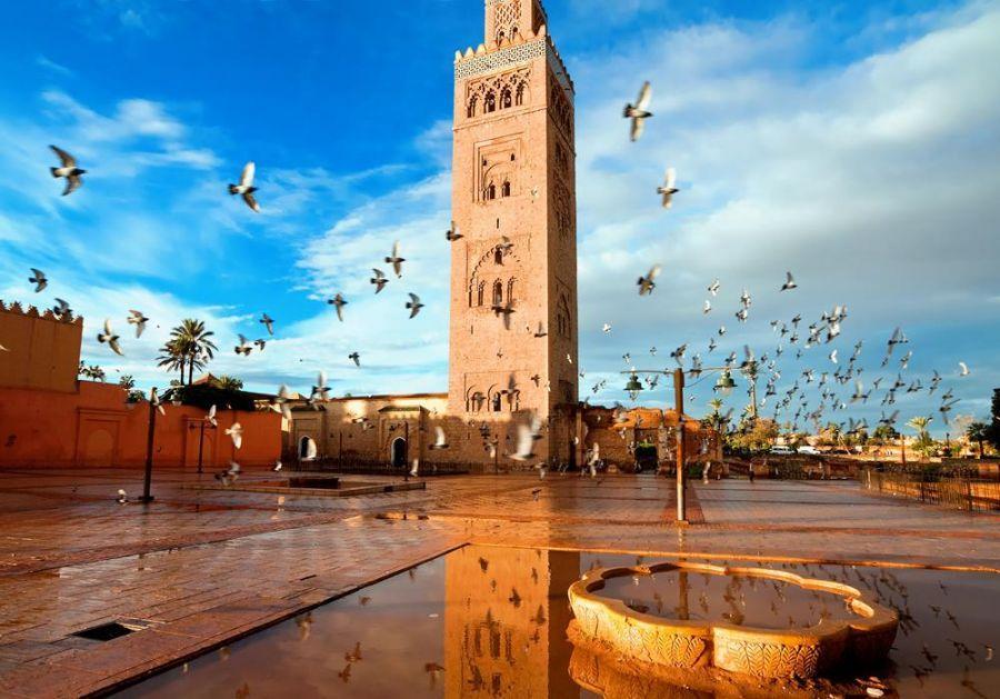 10 چیز شگفت انگیز برای دیدن و انجام در مراکش