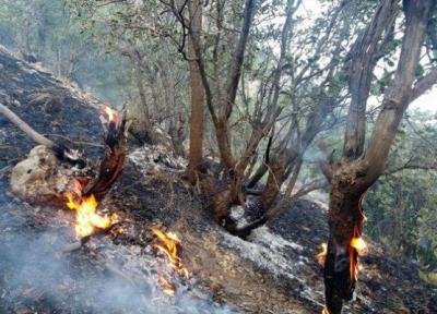 آتش در باغات روستای سنگان طارم مهار شد