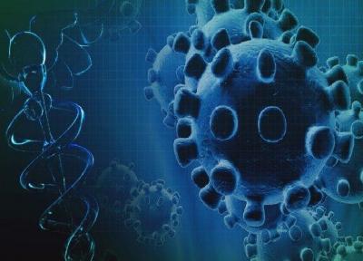 تکثیر ویروس کرونا موجب تولید فرم های جدید خواهد شد، اعلام دلایل علمی برای نرفتن به مسافرت