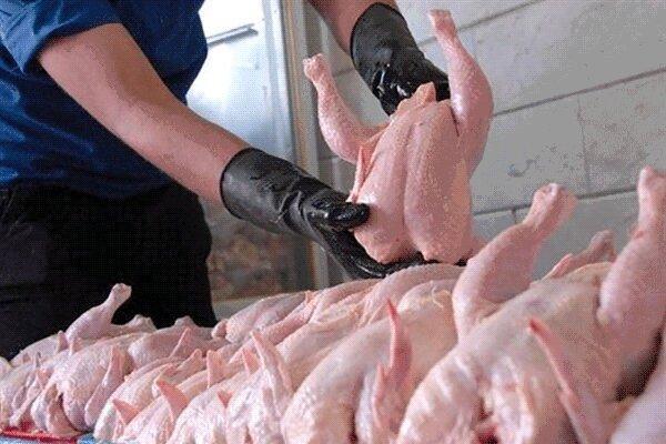 عرضه مرغ زیر قیمت مصوب در استان البرز