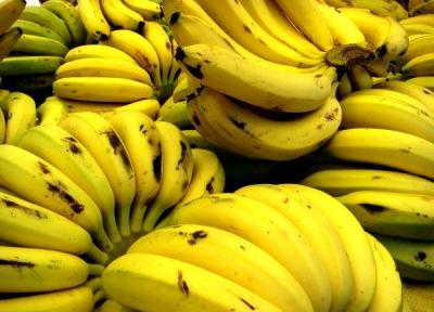 موز و انبه ارزان می گردد