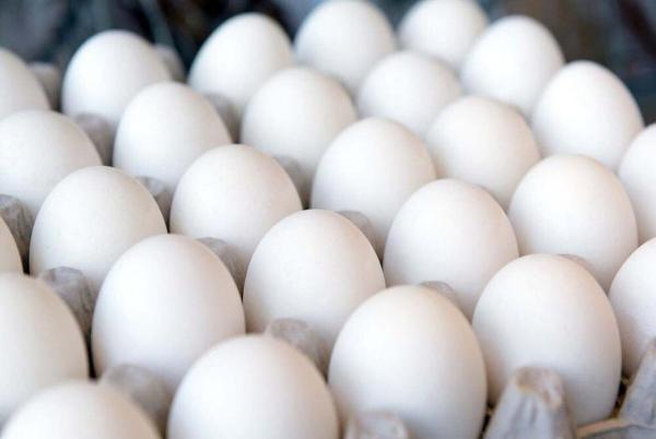 کاهش چشمگیر قیمت تخم مرغ در بازار، قیمت در مغازه 90 هزار تومان و قیمت وانتی ها 60 هزار تومان