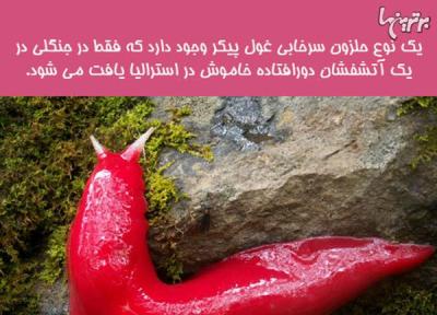 دانستنی های جالب؛ شکنجه دردناک قرون وسطی!